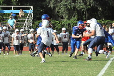Enlarge photo 85