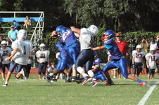 Enlarge photo 86