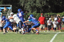 Enlarge photo 87
