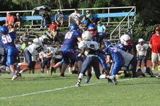 Enlarge photo 95