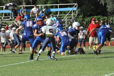 Enlarge photo 96