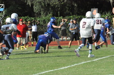 Enlarge photo 99