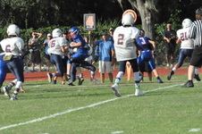 Enlarge photo 102