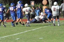 Enlarge photo 103