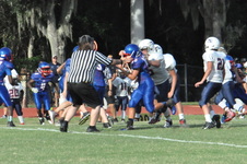Enlarge photo 121