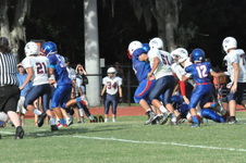 Enlarge photo 124