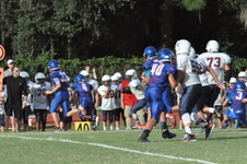 Enlarge photo 125