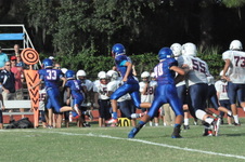 Enlarge photo 126