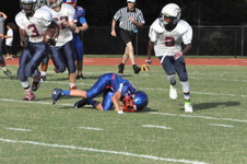 Enlarge photo 135