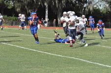 Enlarge photo 138