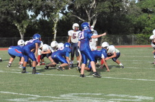 Enlarge photo 146