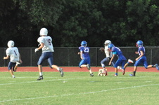 Enlarge photo 153