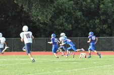 Enlarge photo 154