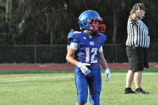 Enlarge photo 163