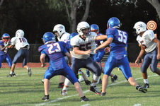Enlarge photo 172