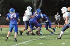 Enlarge photo 173