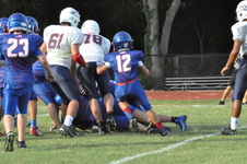 Enlarge photo 178
