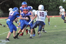 Enlarge photo 219