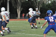 Enlarge photo 235