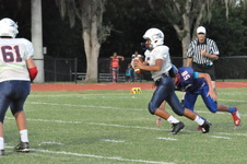 Enlarge photo 237