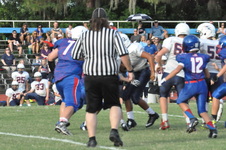 Enlarge photo 246