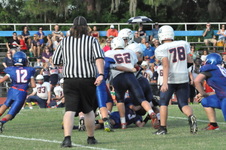 Enlarge photo 247