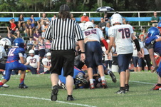 Enlarge photo 248