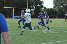 Enlarge photo 252