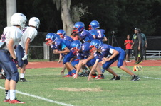 Enlarge photo 261