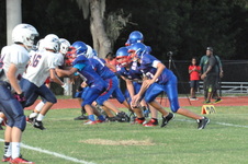 Enlarge photo 262