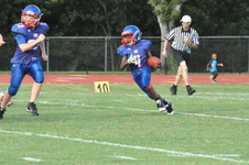 Enlarge photo 263