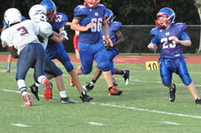 Enlarge photo 265