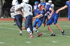 Enlarge photo 267