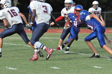 Enlarge photo 268