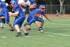 Enlarge photo 271