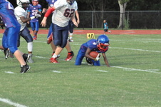 Enlarge photo 272