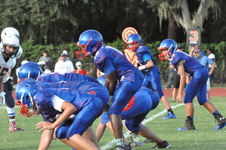 Enlarge photo 274