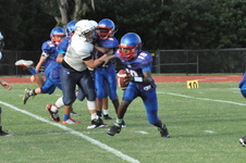 Enlarge photo 278
