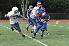 Enlarge photo 279
