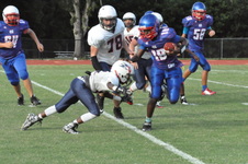 Enlarge photo 281