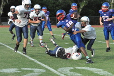 Enlarge photo 283