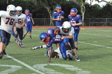 Enlarge photo 284