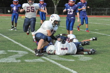 Enlarge photo 286