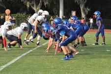 Enlarge photo 294