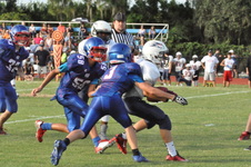 Enlarge photo 303