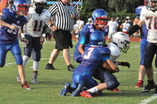 Enlarge photo 305