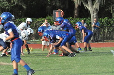 Enlarge photo 337