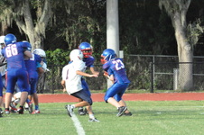 Enlarge photo 339