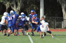 Enlarge photo 340