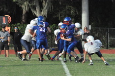 Enlarge photo 341